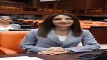 CHP'li Altaca Kayışoğlu Hocaköy'ü sordu..