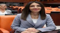 CHP'li Altaca Kayışoğlu Hocaköy'ü sordu..